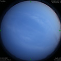 1587478942.jpg