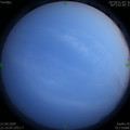 1587479002.jpg