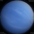 1587479062.jpg