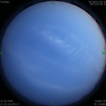 1587479122.jpg