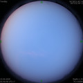 1587508866.jpg