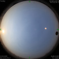 1587518396.jpg