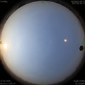 1587518786.jpg