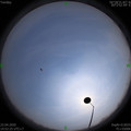 1587541958.jpg