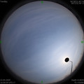 1587546610.jpg