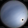 1587547000.jpg