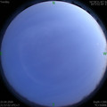 1587567455.jpg