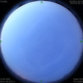 1587592338.jpg