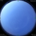 1587592503.jpg