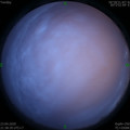 1587652732.jpg