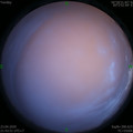 1587653047.jpg