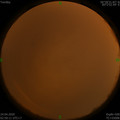1587671439.jpg