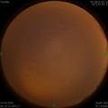 1587676782.jpg