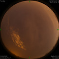1587762004.jpg