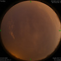 1587762184.jpg