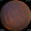 1587763250.jpg