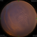 1587763370.jpg