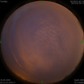 1587763430.jpg
