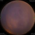1587763550.jpg