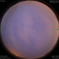 1587763850.jpg