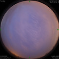 1587763910.jpg