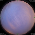 1587764090.jpg