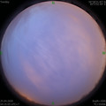 1587764150.jpg