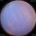 1587764210.jpg