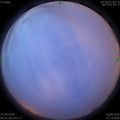 1587764495.jpg