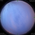 1587764705.jpg