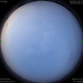 1587769117.jpg