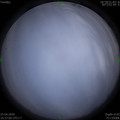 1587818233.jpg