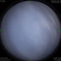 1587818353.jpg