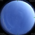 1587826232.jpg