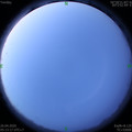 1587852810.jpg
