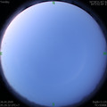 1587853245.jpg
