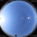 1587863901.jpg