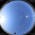 1587864696.jpg