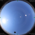 1587867037.jpg