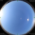1587946010.jpg
