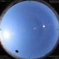 1587953063.jpg