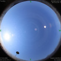 1587953453.jpg