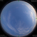 1587994393.jpg