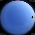 1587999166.jpg