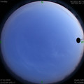 1587999736.jpg