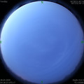 1588023538.jpg