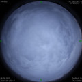1588081042.jpg