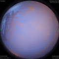 1588109316.jpg