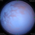 1588110066.jpg