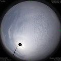 1588135564.jpg